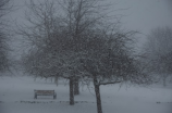 石家庄大雪暴雪警报，多个道路封闭